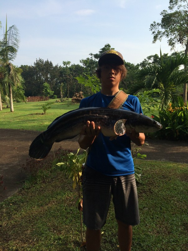 Lucas 7kg Sta Rosa Toman!