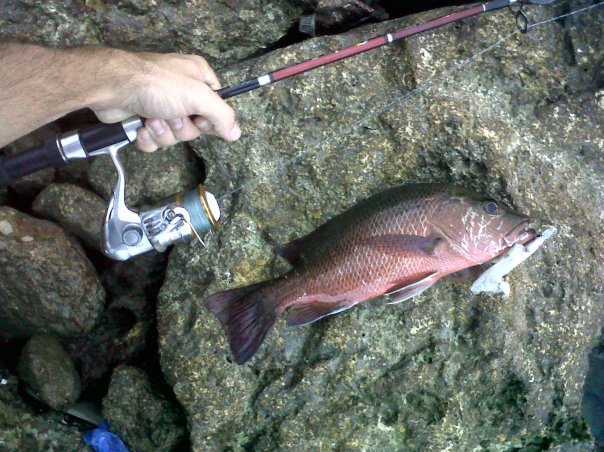 Fishing Spot Cebu Philippines