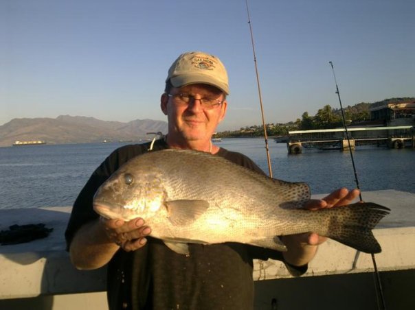 Plectorhinchus pictus