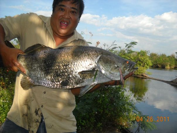 bacolod sport fishing