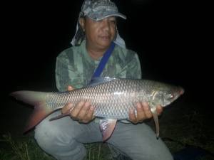 Karfa Fish Carp (Karpa) | Fishing The Philippines