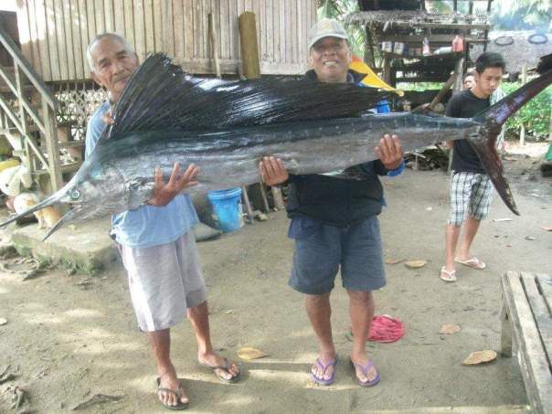 billfish philippines