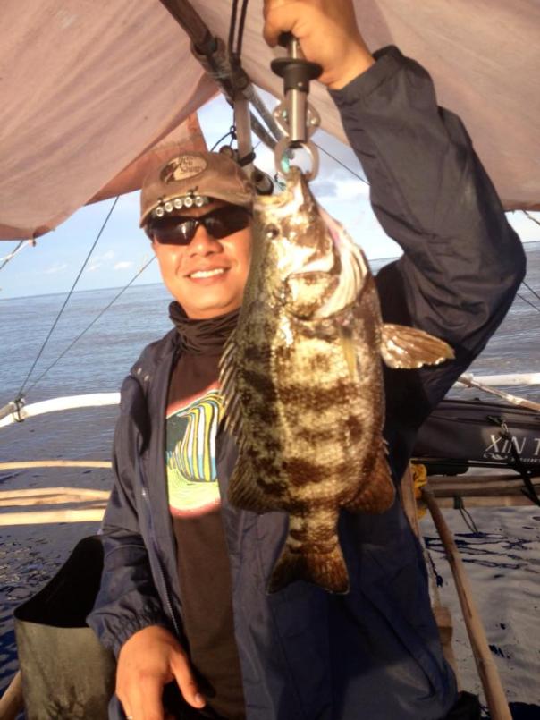 Lobotes surinamensis