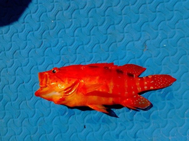 fun group activities cebu